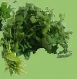 Nya Pulsen Koriander erbjuda