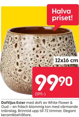 Rusta Doftljus Ester erbjuda