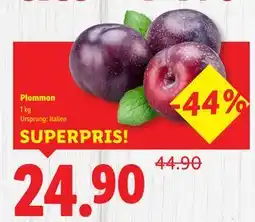 Lidl Plommon, SEK 24.9 erbjuda