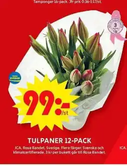 ICA Maxi Tulpaner 12-pack erbjuda