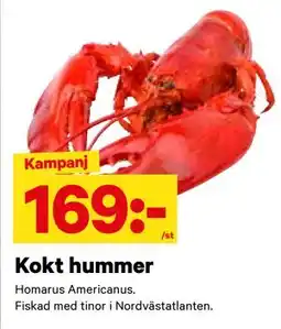 City Gross Kokt hummer, SEK 169 erbjuda