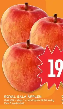 Willys Royal gala äpplen erbjuda