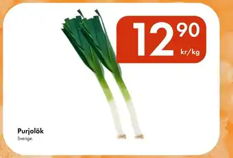 Snabbgross Purjolök erbjuda