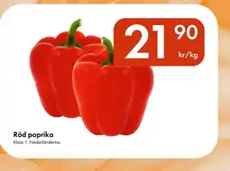 Snabbgross Röd paprika erbjuda