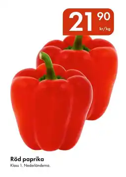 Snabbgross Röd paprika erbjuda