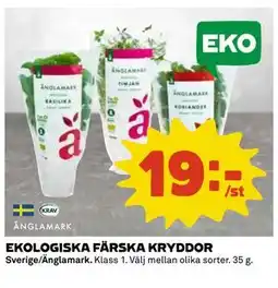 Coop Daglivs EKOLOGISKA FÄRSKA KRYDDOR, SEK 19 erbjuda