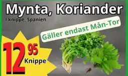 Supergrossen Mynta, Koriander, SEK 12.95 erbjuda