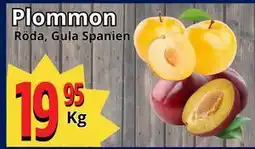 Supergrossen Plommon, SEK 19.95 erbjuda