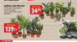 Jem&Fix GRÖNA VÄXTER MIX erbjuda