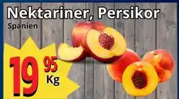 Supergrossen Nektariner, Persikor, SEK 19.95 erbjuda