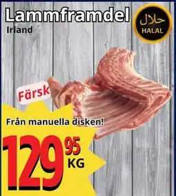 Supergrossen Lammframdel, SEK 129.95 erbjuda