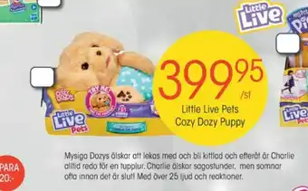Little Live Pets Kramdjur