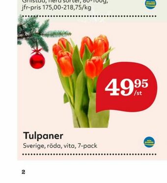 Hemköp Blommor erbjuda