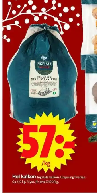 Ingelsta Kalkon Kalkon