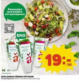 Coop EKOLÓGICKA FÄRSKA KRYDDOR erbjuda