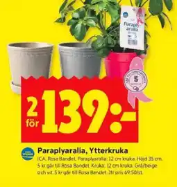 ICA Kvantum ICA Paraplyaralia, ytterkruka erbjuda