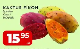 Matrix Butikerna Kaktus fikon erbjuda