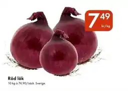 Snabbgross Röd lök erbjuda