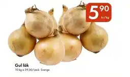 Snabbgross Gul lök erbjuda