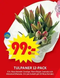 ICA Supermarket ICA Tulpaner 12-pack erbjuda