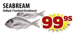 Matvärlden Tensta Seabream erbjuda