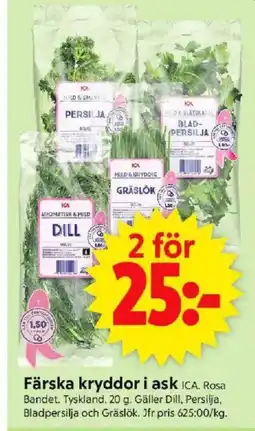 ICA Supermarket ICA Färska kryddor i ask erbjuda