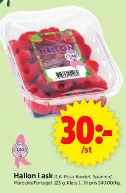 ICA Supermarket ICA Hallon i ask erbjuda