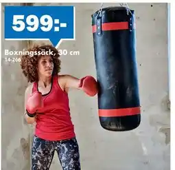 Biltema Boxningssäck, 30 cm, SEK 599 erbjuda