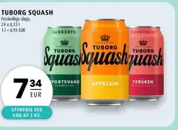 Scandinavian Park Tuborg squash erbjuda