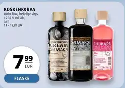 Scandinavian Park Koskenkorva erbjuda