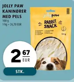 Scandinavian Park Jolly paw kaninører med pels erbjuda