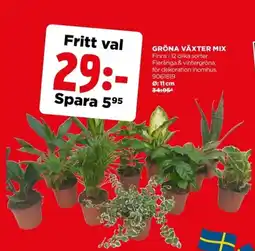 Jem&Fix Gröna växter mix erbjuda