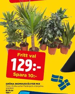 Jem&Fix Gröna inomhusväxter mix erbjuda