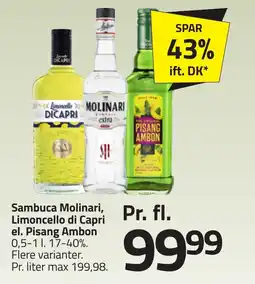 Fleggaard Sambuca molinari, limoncello di capri el. pisang ambon erbjuda