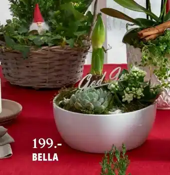 Blomsterlandet Bella erbjuda