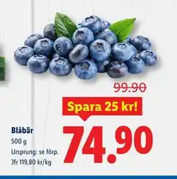 Lidl Blåbär, SEK 74.9 erbjuda