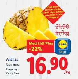 Lidl Ananas, Pris i appen erbjuda