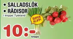Nya Pulsen Salladslök • Rädisor erbjuda