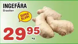 Nya Pulsen Ingefära erbjuda