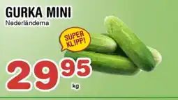 Nya Pulsen Gurka mini erbjuda