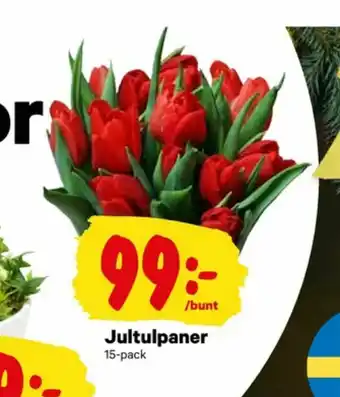 City Gross Blommor erbjuda