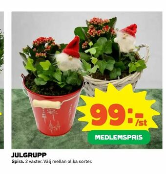 Coop Extra Julgrupp erbjuda