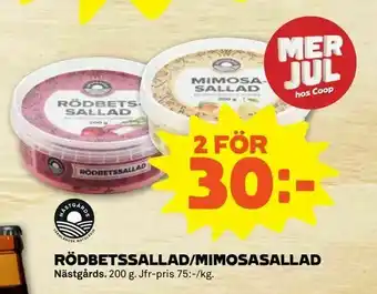 Rödbetssallad/mimosasallad