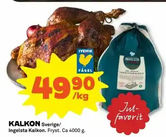 Kalkon