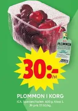 ICA Maxi Plommon i korg erbjuda