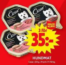 ICA Maxi Hundmat erbjuda