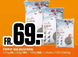 ÖoB Pippip solrosfrön erbjuda