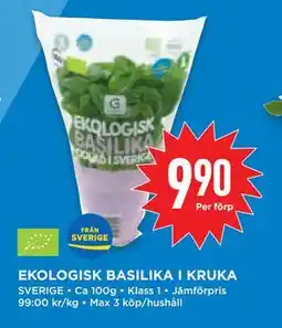 Willys Hemma EKOLOGISK BASILIKA I KRUKA, SEK 9.9 erbjuda
