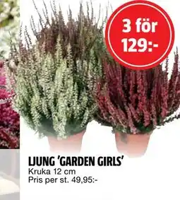 Bauhaus LJUNG ’GARDEN GIRLS’, SEK 129 erbjuda