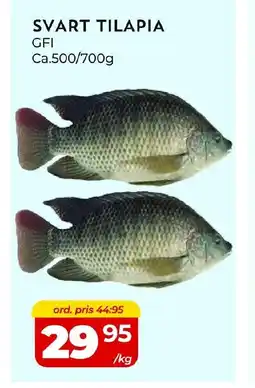 Matrix Butikerna Svart tilapia erbjuda